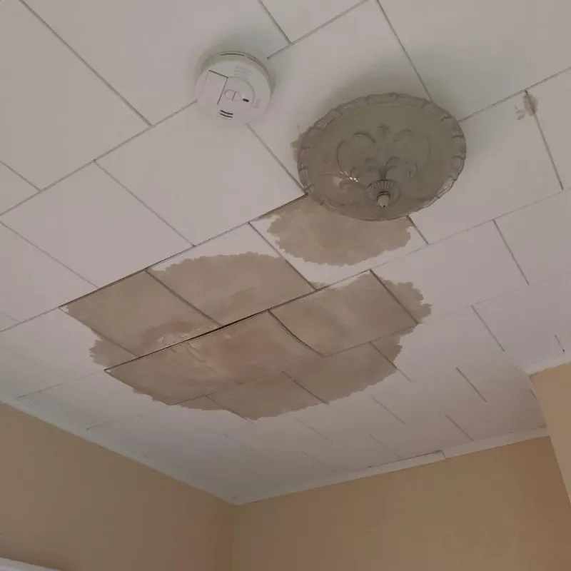 Ceiling Water Damage Repair in Baxter County, AR