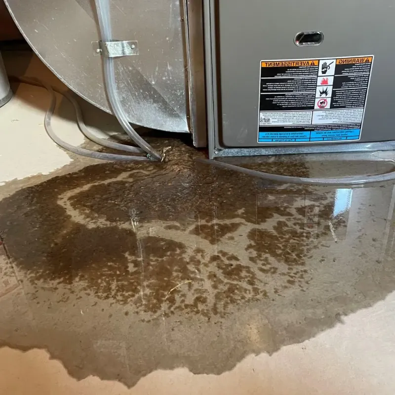 Pipe Burst and Leak Restoration in Baxter County, AR