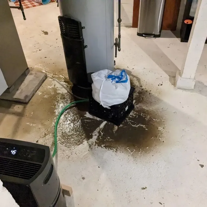 Sewage Backup Cleanup Service in Baxter County, AR